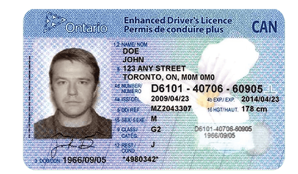 Introducing the Ontario Driver License Validator — The New Gold Standard in ID Verification!